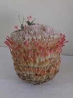 Protea Composite