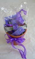Pots filled with Inspiration