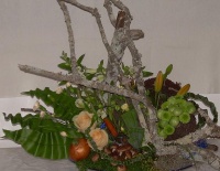 Kitchen Garden
