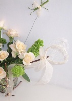 Butterfly Net