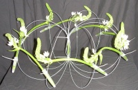 Simplicity