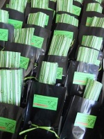 Rondebosch Flower Club: Butterfly net kit 