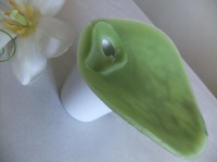 Wax Disk
