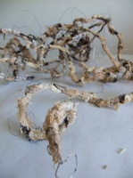 Wired Monkey Vine 