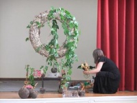 The Plant Material used in the Demonstration