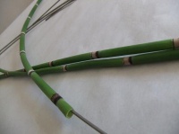 Wire and bend Equisetum