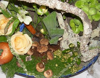 Design Kitchen on Detail Of My Kitchen Garden Design  South African Horticultural