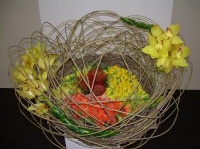 Veiled Sunshine:50th Anniversary of the South African Orchid Society at the Cape Town Convention Centre. 