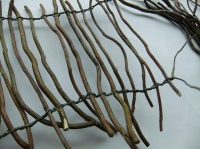 Weave a willow twig blind