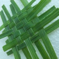 Foliage Weaving