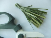 Tie an Iris leaf tassel