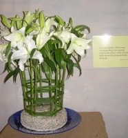 Flower Festival, Methodist Church Hall, Durbanville, South Africa: Two are better than one 