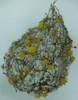 Cherry twig cocoon 