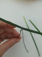 T-Wiring