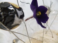 Suspend flowers and candy on an acetate and wire garland