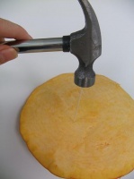 Pumpkin lid