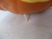 Pumpkin legs