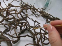 Glue a forest filigree twig wreath