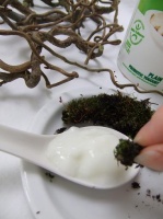 Encouraging Moss and Lichen to grow on a design 