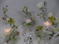 Rocking around Three Candle Trees