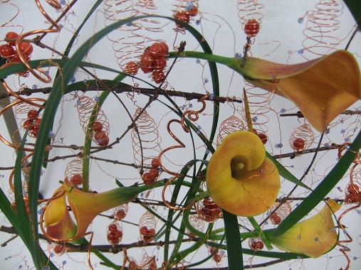 Zantedeschia