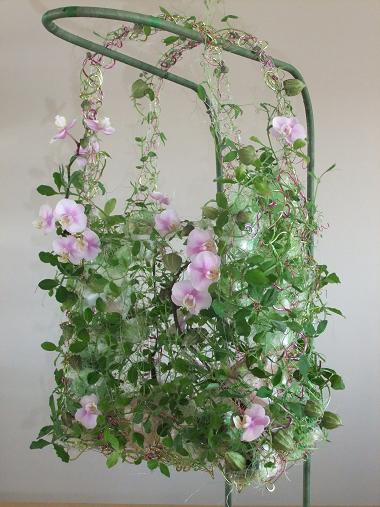 Lathyrus