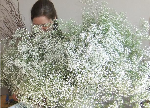 Using masses of gypsophila for a Floral Art table setting