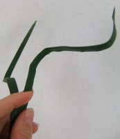 Wire and bend foliage