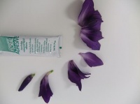 Gladiolus Composite