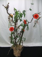 A Floral Fable:  Approach Design 