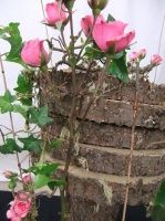 A Floral Fable:  Floriograpy Design 