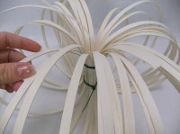 Cinderella Spiral Pumpkin from Midelino Cane Coils