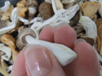 Drying Mushrooms for Floral Art