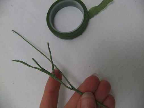 Stems and and tendrils