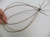 Mikado Reed drop shaped nest 