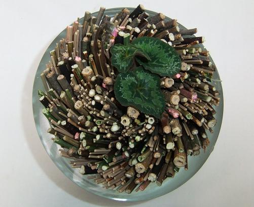 Neatly spiral twigs in the vase. Neatly spiral twigs in the vase.