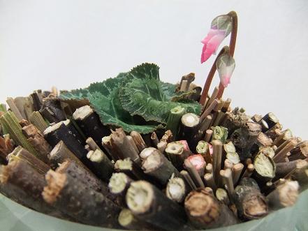 Place short twigs in a clear glass vase. Place short twigs in a clear glass vase.