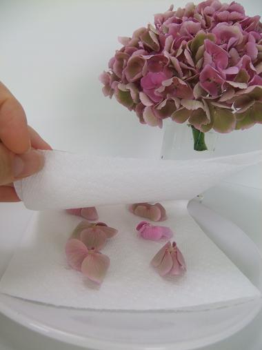 Place the flowers between layers of paper towels to absorb the moisture. Place the flowers between layers of paper towels to absorb the moisture.