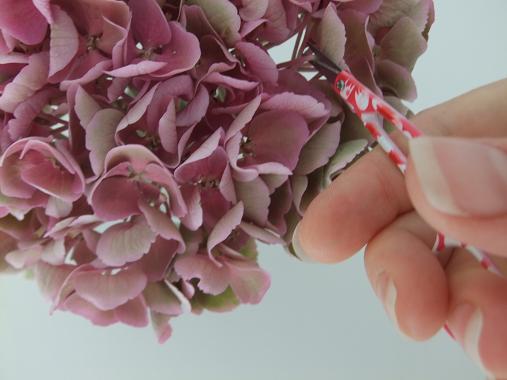 Snip the individual flowers from the hydrangea mop head. Snip the individual flowers from the hydrangea mop head.