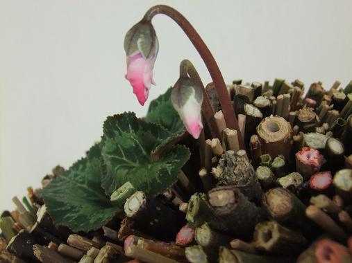 The two flower buds are placed in a twig flower frog The two flower buds are placed in a twig flower frog