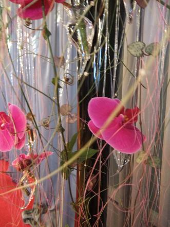 Royal purple toned rosary vines and flowering passion fruit vines. Royal purple toned rosary vines and flowering passion fruit vines.