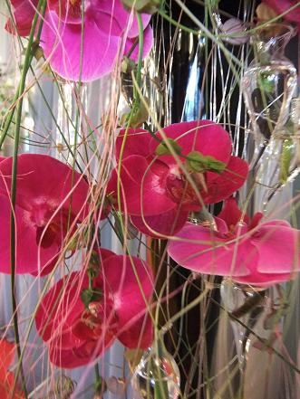 Vines and orchids floats down the waterfall in glass seahorses. Vines and orchids floats down the waterfall in glass seahorses.