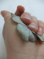 Smooth dried hydrangea flowers in the palm of your hand