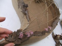 Bark covered heart