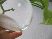 Prevent scratches, rust and water stains on display surfaces
