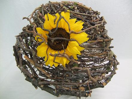 Sunflower on the twig mushroom cap.