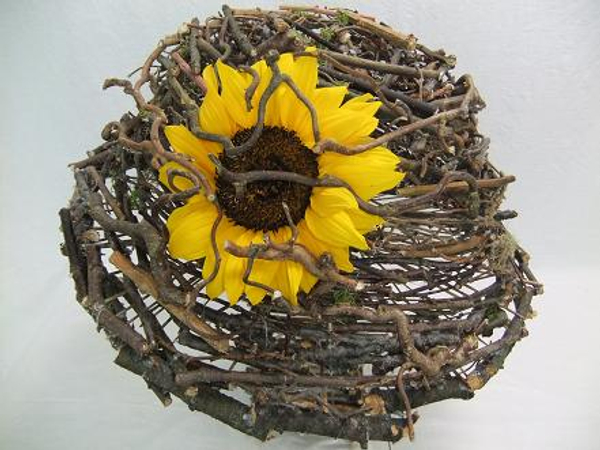 Sunflower on the twig mushroom cap.