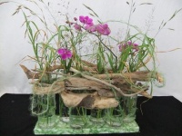Just Right! Floral Art demonstration: Too Cold!
