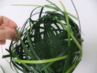 Weaving a ball shaped Dew-drop Catcher from grass