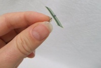 T- Pin blades of grass